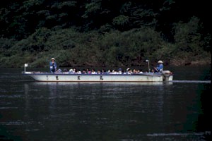 60 / 145